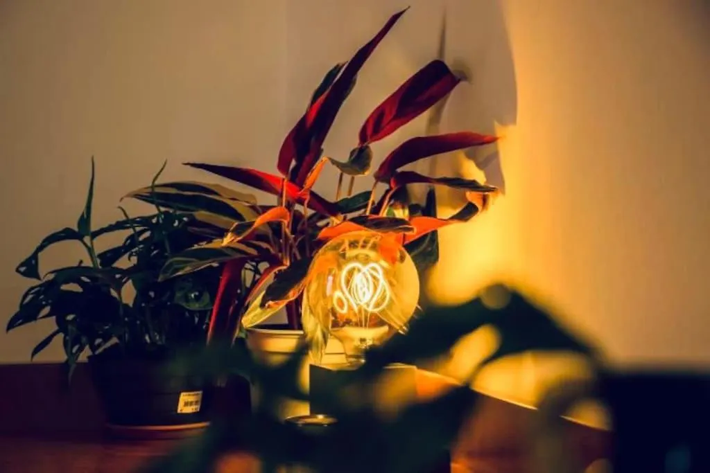 Casa Oscar: Entire Apartment Venice.Mestre Station location